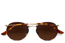 Tangle Free Aston - Amber Tortoise Polarized