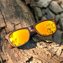 Classic Timber - Golden Polarized