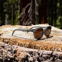 Sequoia - Dusk Polarized